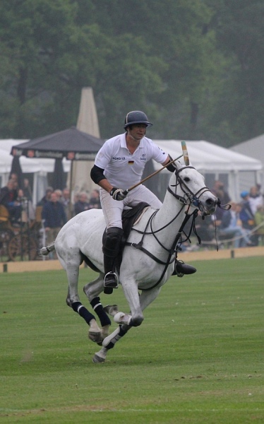 Polo_Art   110.jpg